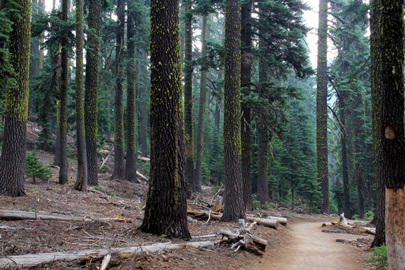 Crater Lake National Park