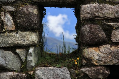 Window