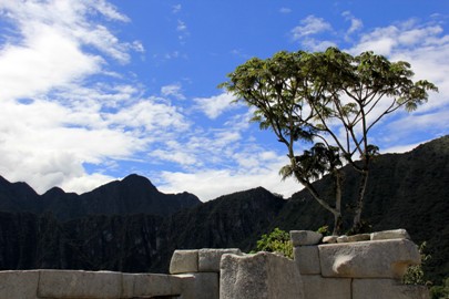 Machu Picchu